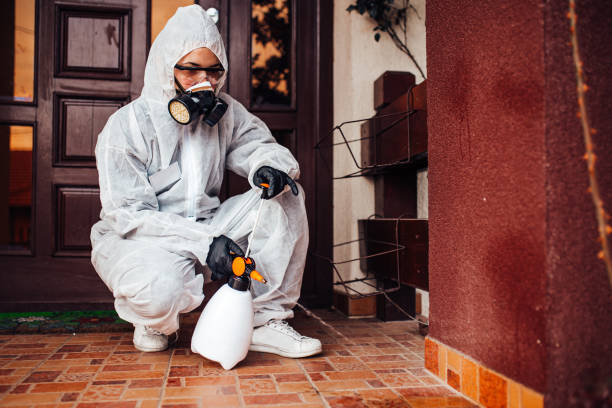 Reliable Bed Bug Control contractor in Quincy, MA by Nex Pest Control