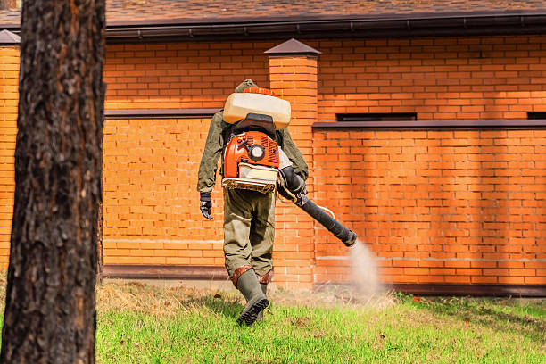 Trusted Cockroach Control service in Quincy, MA - Nex Pest Control
